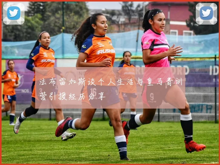 法布雷加斯谈个人生活与皇马青训营引援经历分享