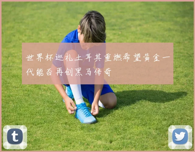 世界杯巡礼土耳其重燃希望黄金一代能否再创黑马传奇